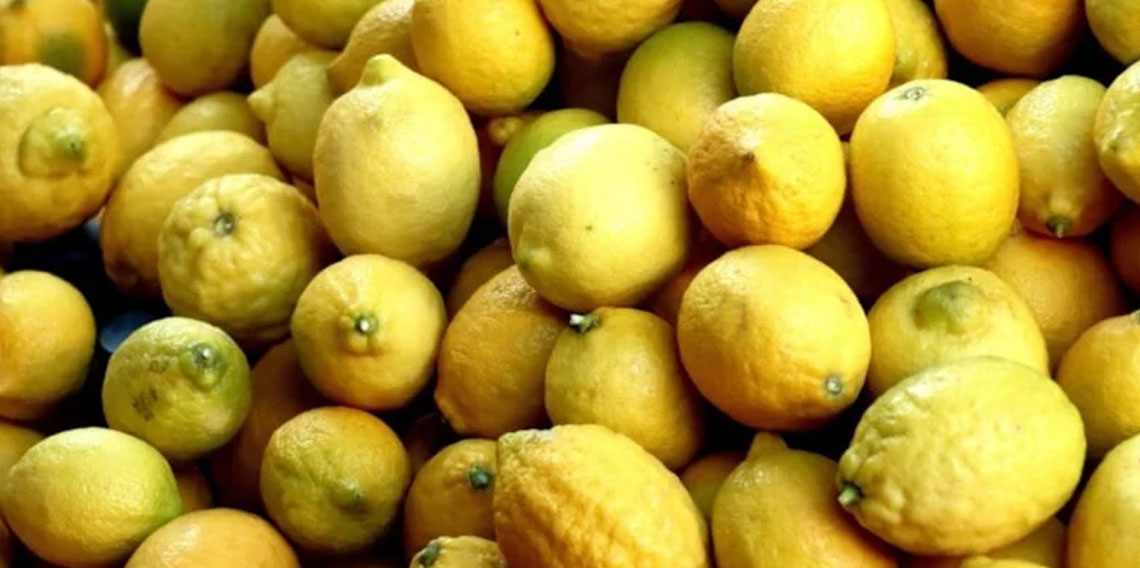 Türkiye yılın ilk çeyreğinde en fazla limonu Rusya'ya gönderdi