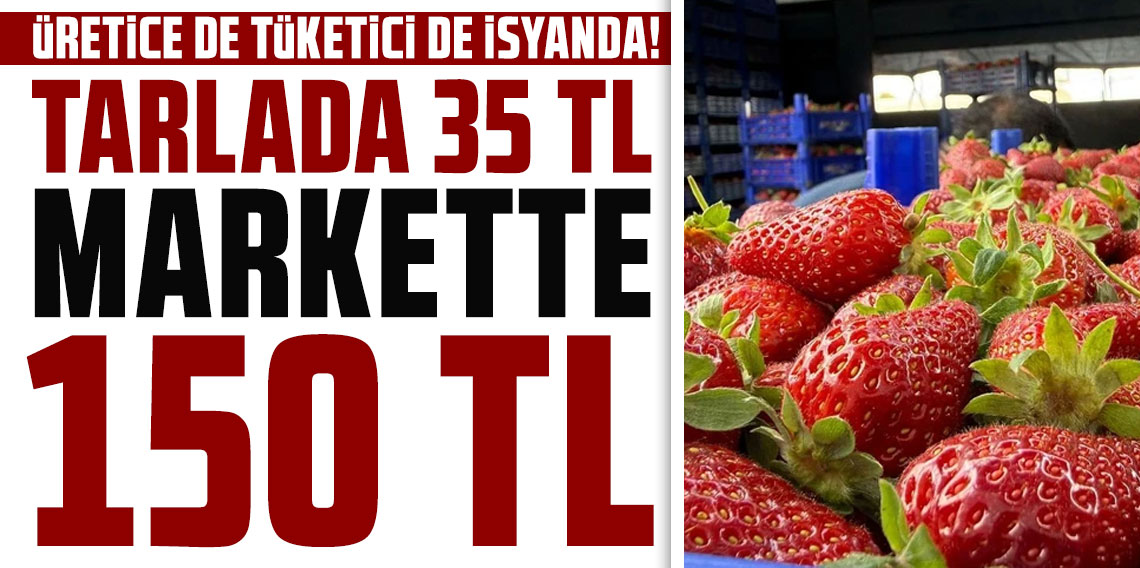 Türkiye'nin kırmızı altınında tüketici de üretici de isyanda! Tarlada 35 TL, markette 150 TL!