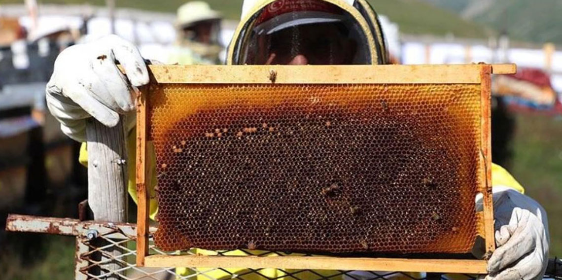 Anzerli Başkan'dan 'sahte Anzer balı' sitemi