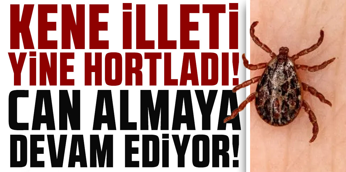 Kene illeti yine hortladı! 21 yaşındaki genç hayatını kaybetti