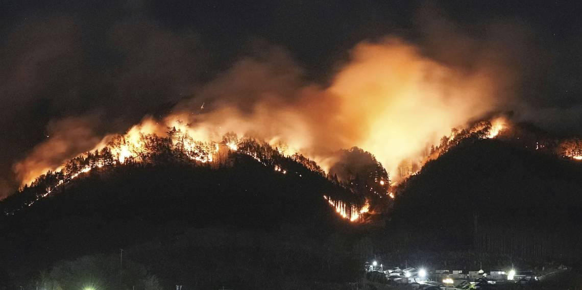 Japonya'daki orman yangınlarında 6 gün geride kaldı, bin 618 hektarlık alan küle döndü