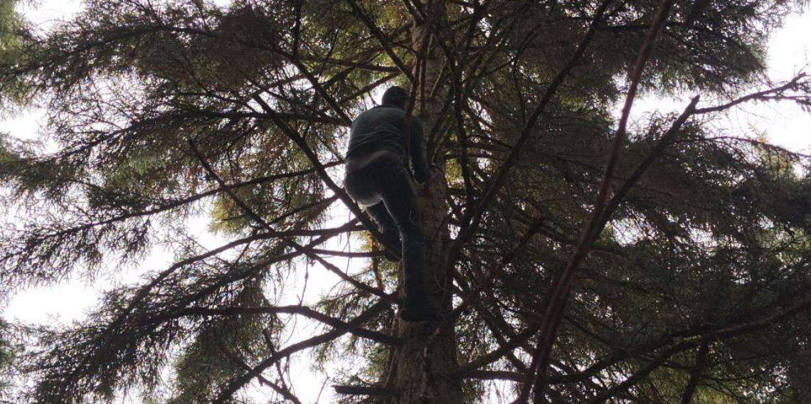 Artvin’de 40 metrelik göknar ağacının tepesine takılan dronu böyle kurtardılar