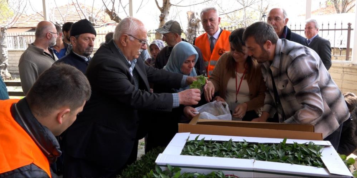Atakumlu çiftçiye 100 bin sebze fidesi