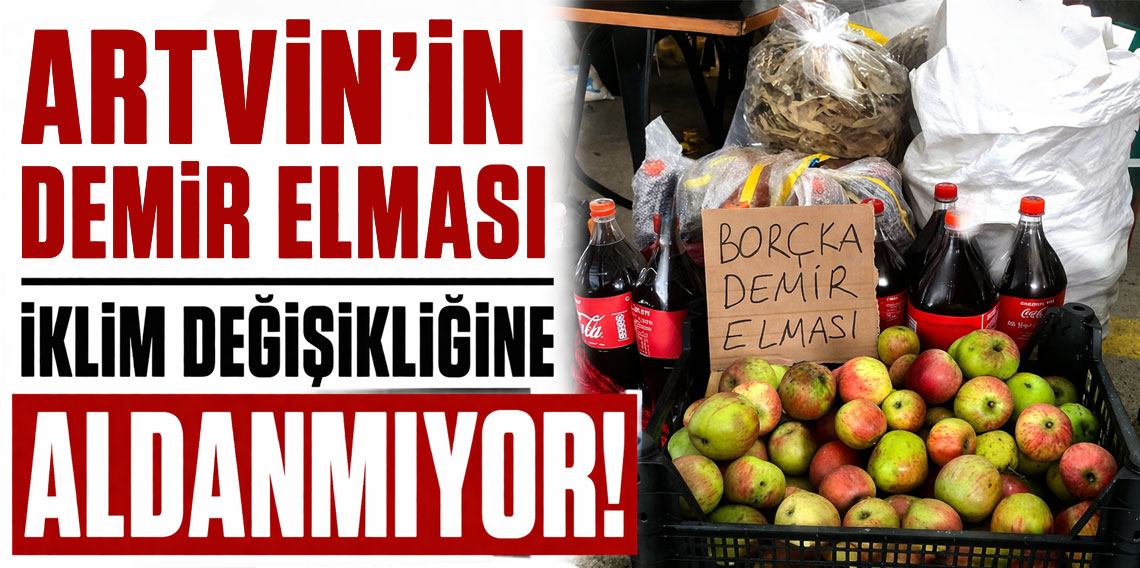 Artvin'in Demir Elması O yalancı bahara aldanmıyor