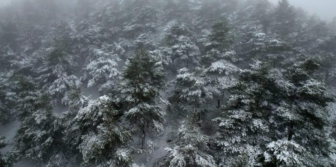 Tokat’ta bahar ortasında yağan kar mest etti