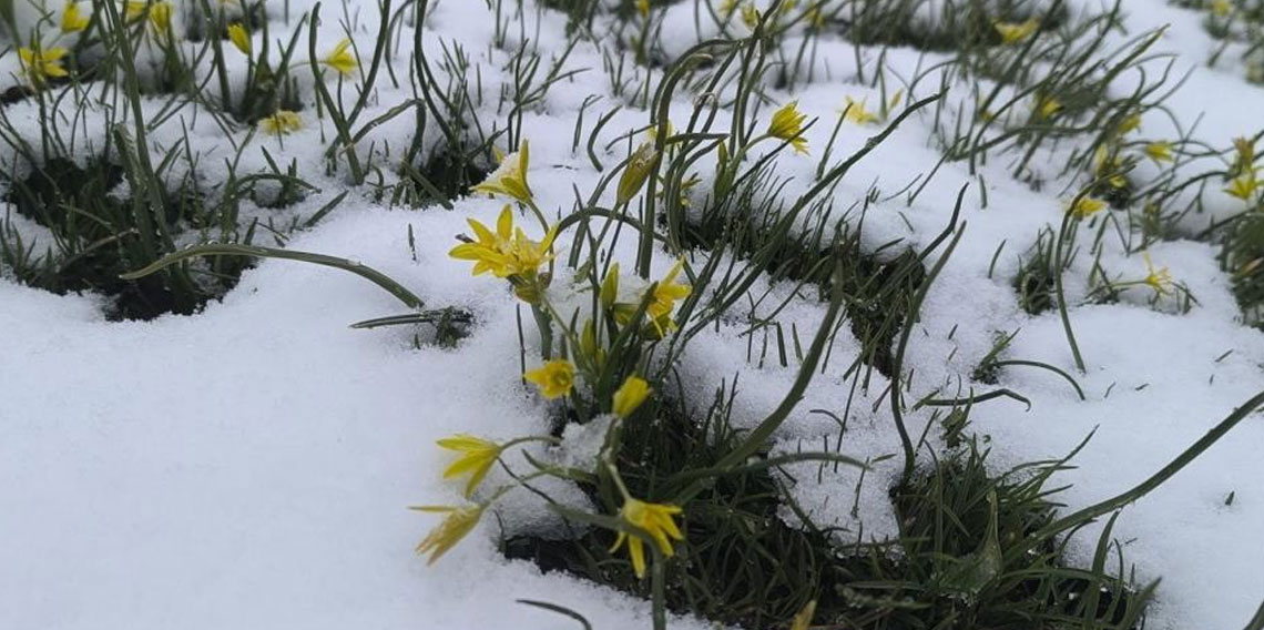 Tokat'ın çatı katında bahar ayındaki kış manzarası mest etti