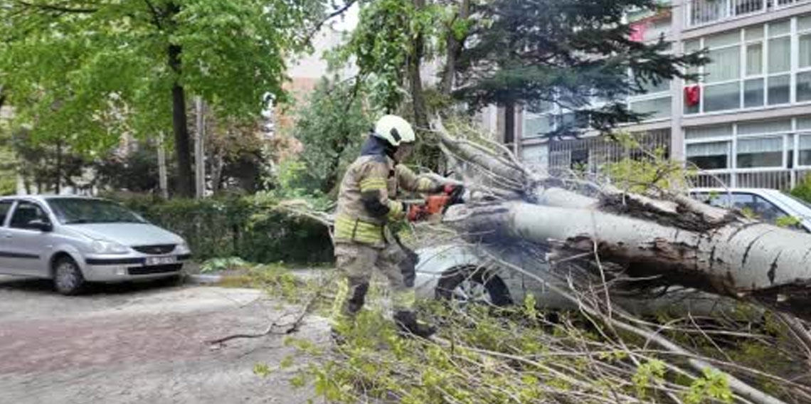 Ağaç, rüzgar nedeniyle otomobilin üzerine devrildi