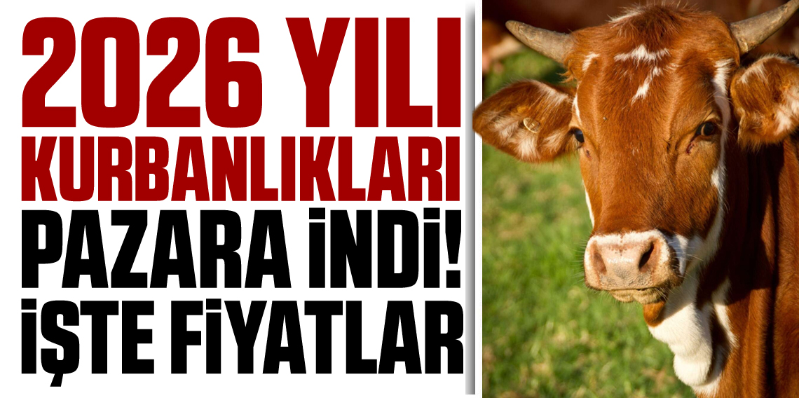 Kurbanlıklar satışa çıktı, pazarlıklar kızıştı
