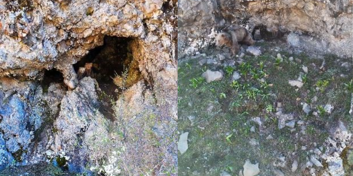 Artvin’de Dron ve Cep Telefonu Kamerasına Yansıyan Doğal Anlar