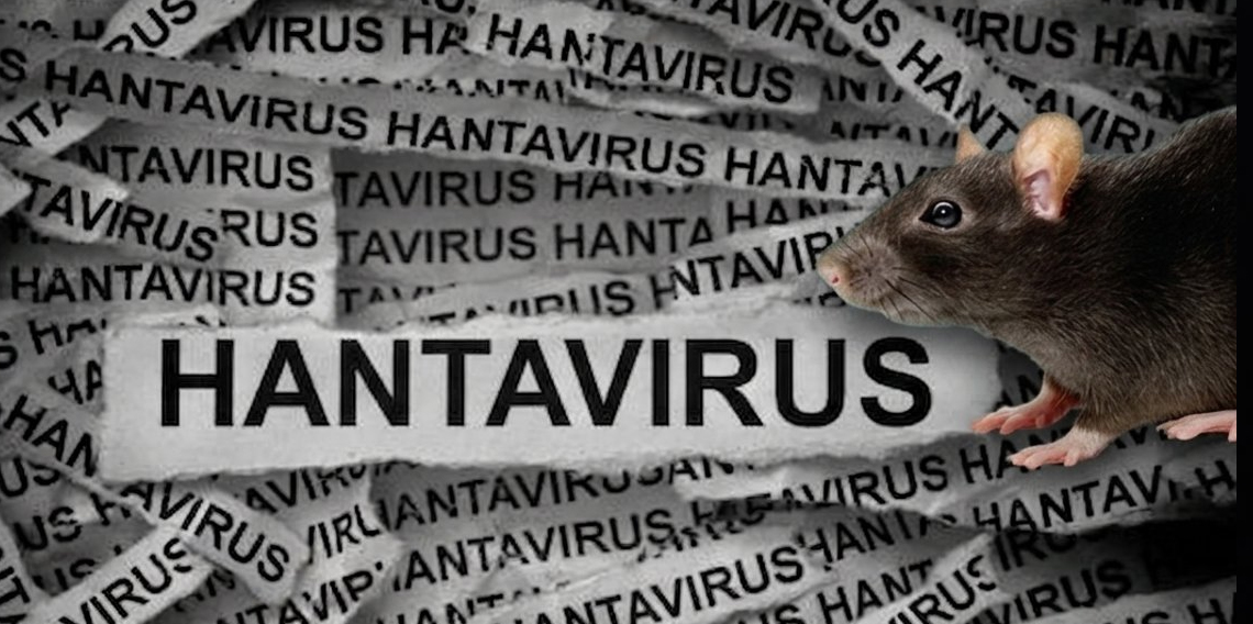 Hollanda’da bir kabin memuru hantavirüs şüphesiyle karantinaya alındı