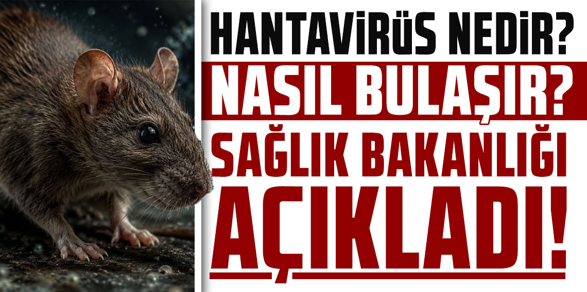 Hantavirüs nedir? Sağlık Bakanlığı bulaş yollarını açıkladı!