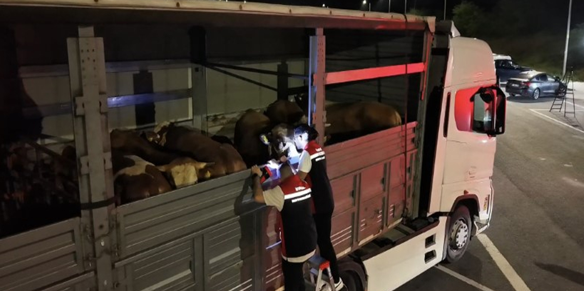 Kurban Bayramı öncesi İstanbul’da sevk noktalarında yoğun mesai