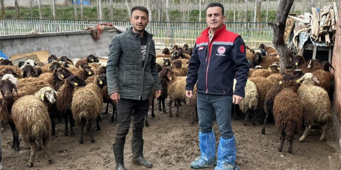 Aydıntepe’de Kırsal Kalkınma Projesi Kapsamında Hayvancılık Kontrolleri Devam Ediyor
