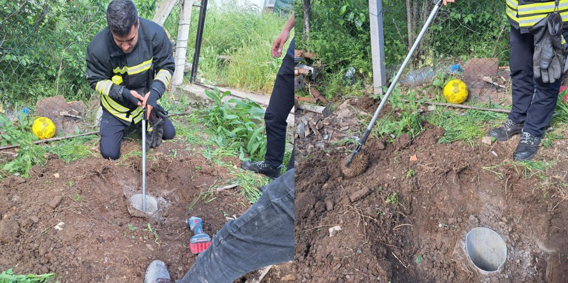 Tekirdağ’da Su Kuyusuna Düşen Kirpi İtfaiye Ekiplerince Kurtarıldı