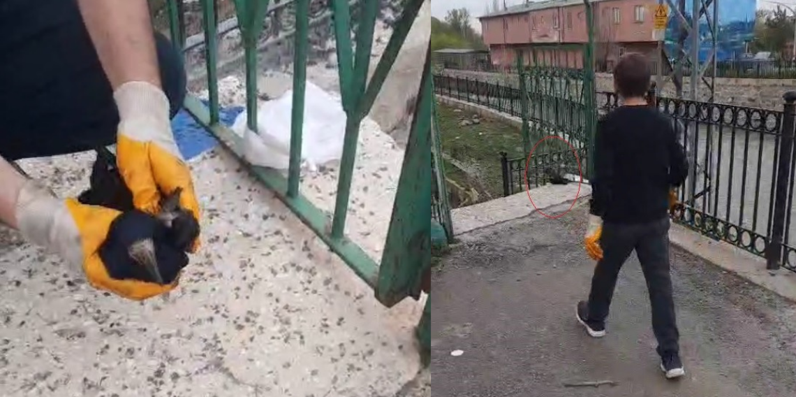 Bayburt'ta poşete dolanan kargayı baba ve oğlu kurtardı