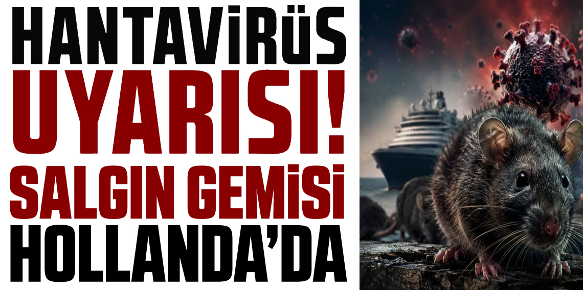 Hantavirüs salgının yaşandığı yolcu gemisi Hollanda'da