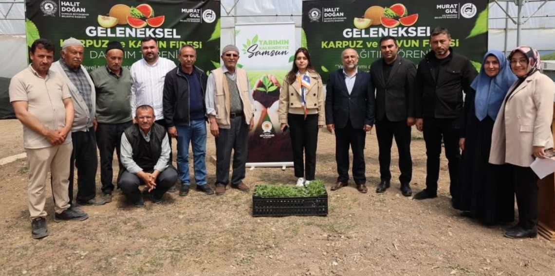 Samsun’da Çiftçiye Büyük Destek: 120 Bin Fide Ücretsiz Dağıtıldı