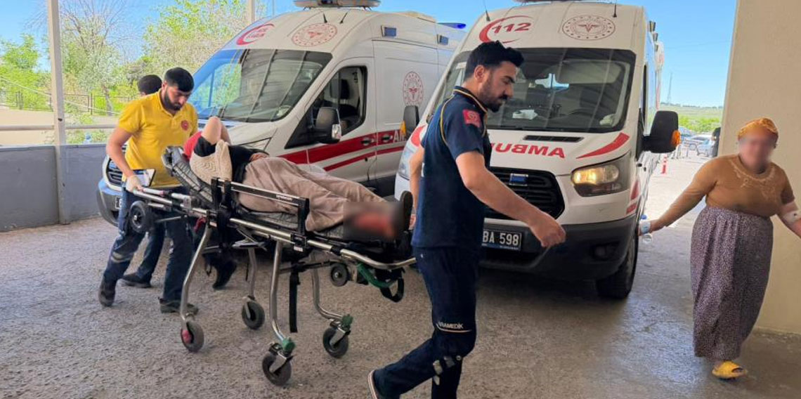 Yılanı vurmak isterken 5 kişiyi yaraladı