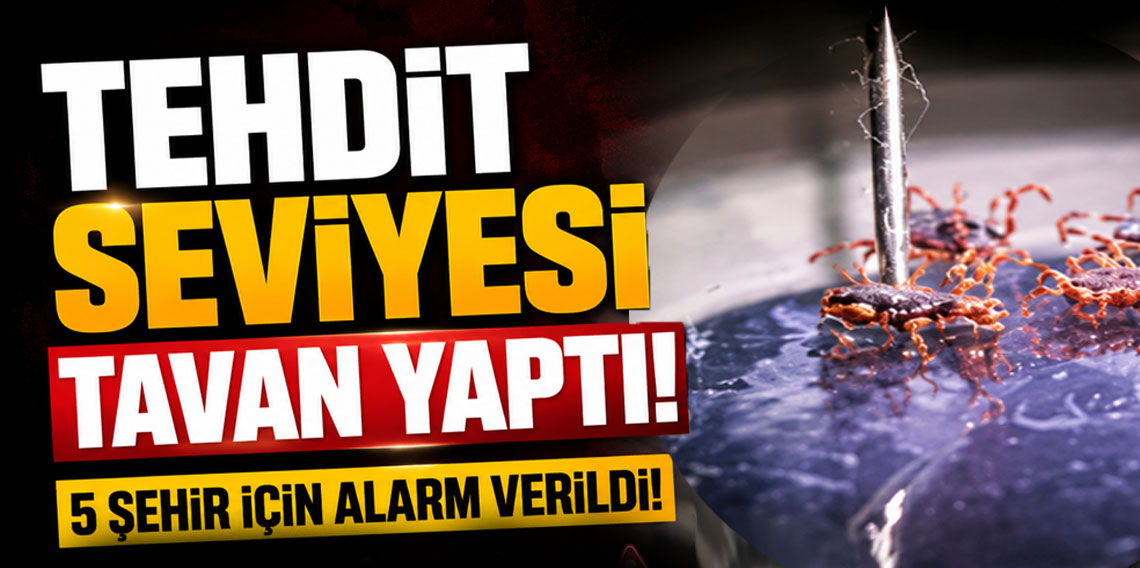 Can kaybı üçe yükseldi! İşte en riskli 5 şehir