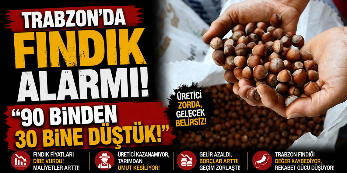 Trabzon’da fındık alarmı! “90 binden 30 bine düştük”