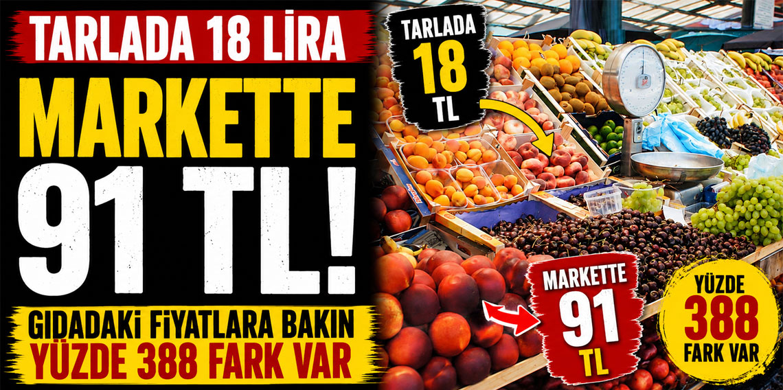 Tarlada 18 lira markette 91 TL! Gıdadaki fiyatlara bakın yüzde 388 fark var