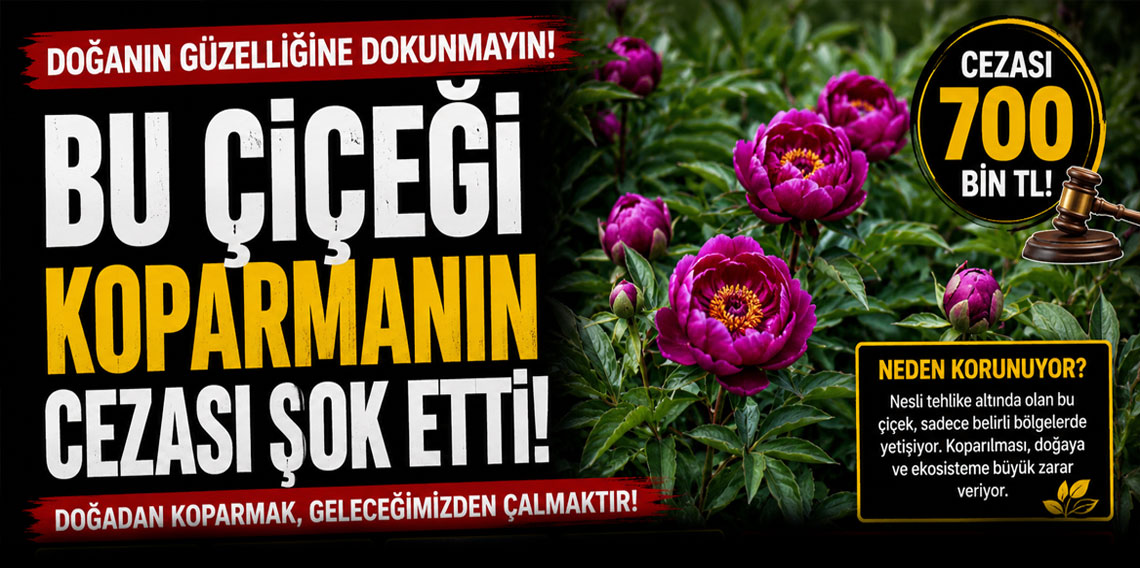 Bu çiçeği koparmanın cezası çok ağır
