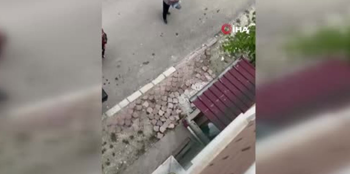 Paniğe sebep olan yılanı eliyle yakaladı