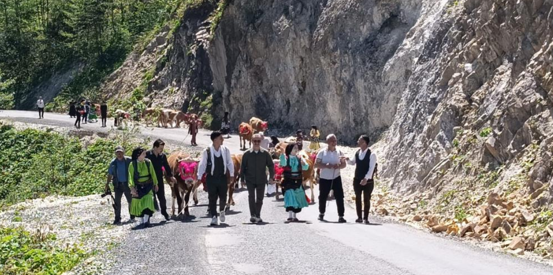 Şalpazarı'nda Asırlık Yayla Göçü Başladı! Süslenen İnekler Renkli Görüntüler Oluşturdu