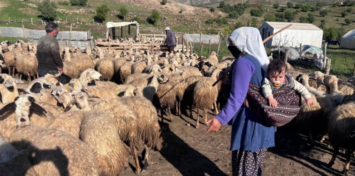 Bakanlıktan Üreticilere Kritik Uyarı: Destek Başvurularında Dolandırıcılara Dikkat!
