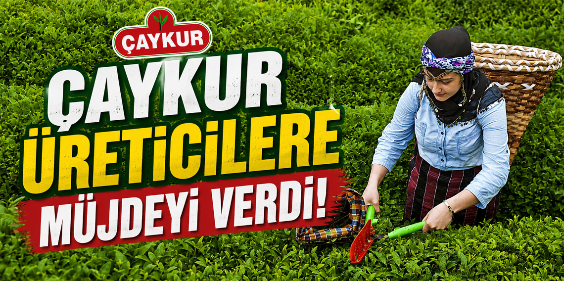 ÇAYKUR Genel Müdürü Alim: "Üreticinin çayı bitene 