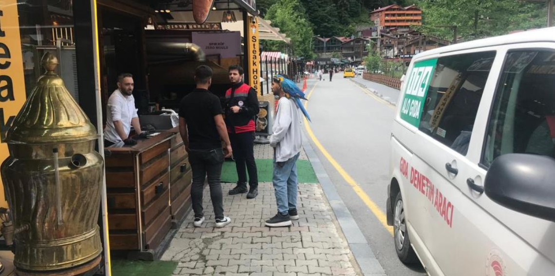 Uzungöl'de turizm sezonu öncesi sıkı denetim