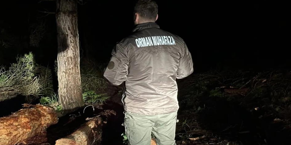 Sinop ormanları gece-gündüz koruma altında