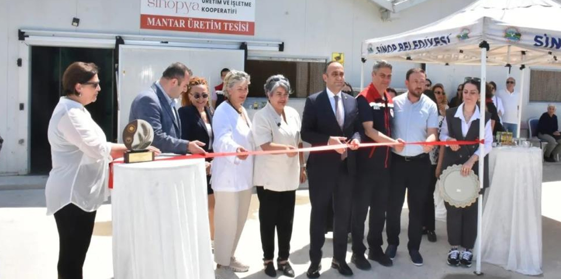 Sinop'ta istiridye mantarı ve dikey tarım tesisi açıldı