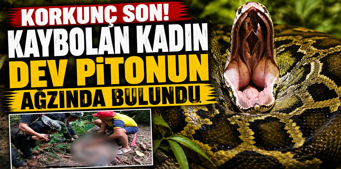 Korkunç son! Kaybolan kadın dev pitonun ağzında bulundu