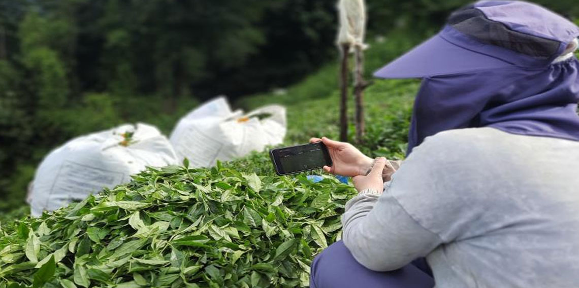 Rize'de çay bahçesinde milli maç heyecanı