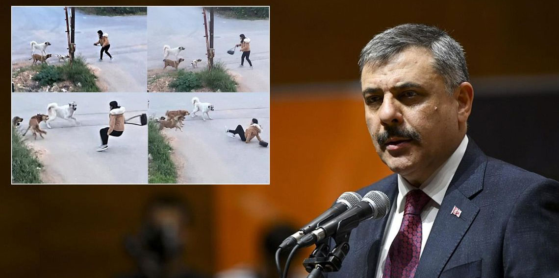 Bakan Çiftçi: Sokak köpeklerinin hepsini barınaklara toplatacağım