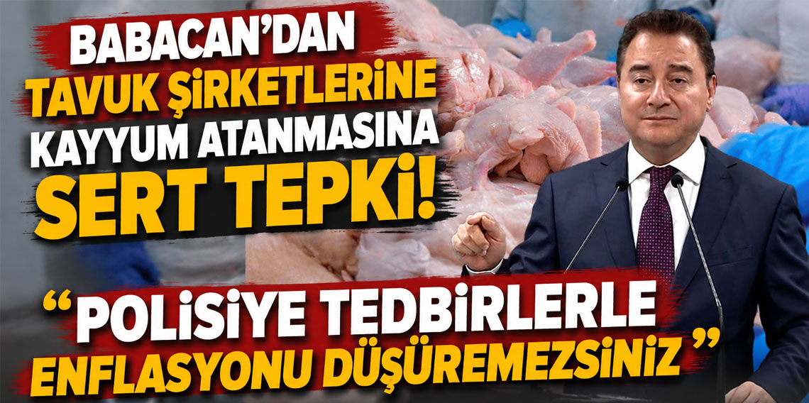 Babacan'dan tavuk şirketlerine kayyum atanmasına sert tepki: Polisiye tedbirlerle enflasyonu düşüremezsiniz