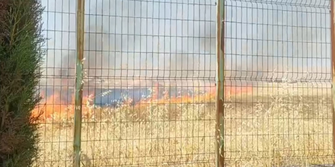 Şanlıurfa'da anız yangını okula sıçramadan söndürüldü
