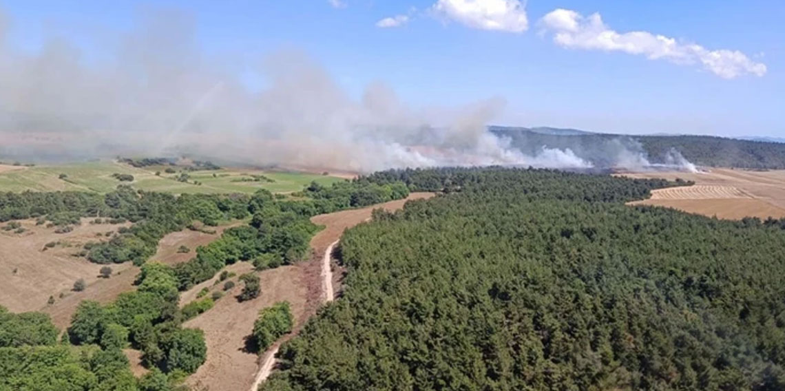 Çanakkale'de korkutan yangın: Rüzgar alevleri büyüttü