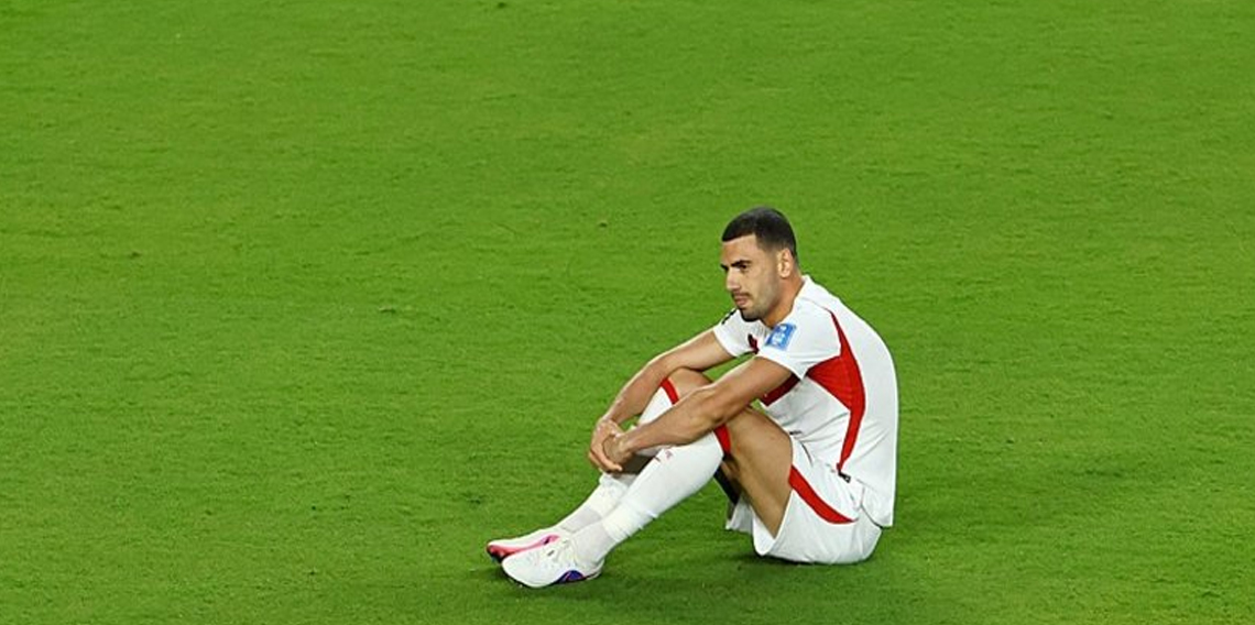 Merih Demiral: Türk halkından özür diliyorum