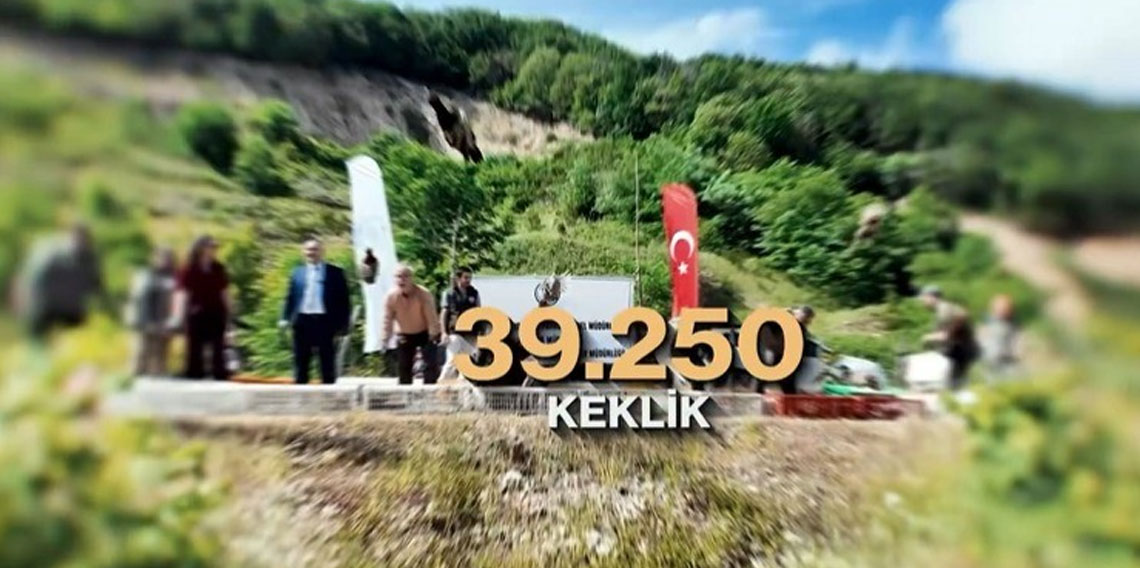 Kene ve kahverengi kokarcaya karşı doğal mücadele: 51 bin keklik ve sülün salınacak