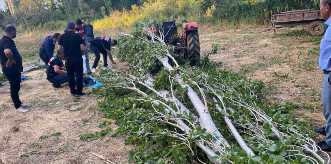 Isparta'da feci kaza: Kestiği ağacın altında kalan çiftçi hayatını kaybetti