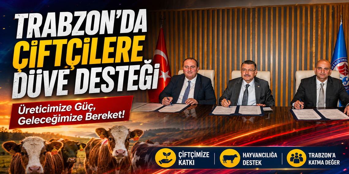 Trabzon'da Çiftçilere Düve Desteği