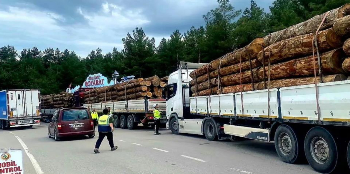 Sinop'ta orman emvali nakilleri denetimi
