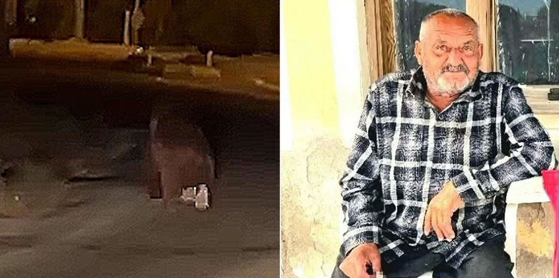 İzmir'de ayı dehşeti! Balkonda uyurken canını aldı, bir de 20 metre sürükledi