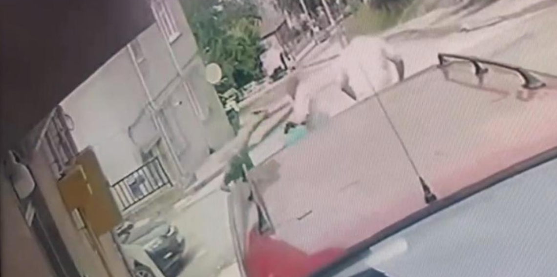 Kardeş katliamının zanlısı teslim oldu