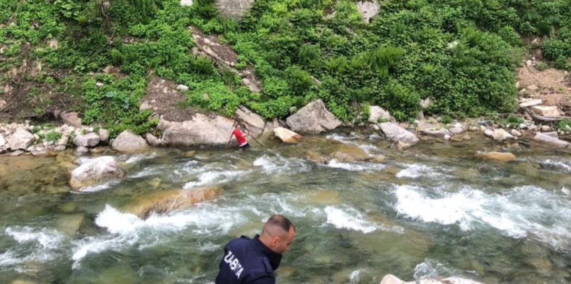 Ayder Yaylası'nda ilginç olay! Papağanını kurtardı, dönüşte mahsur kaldı