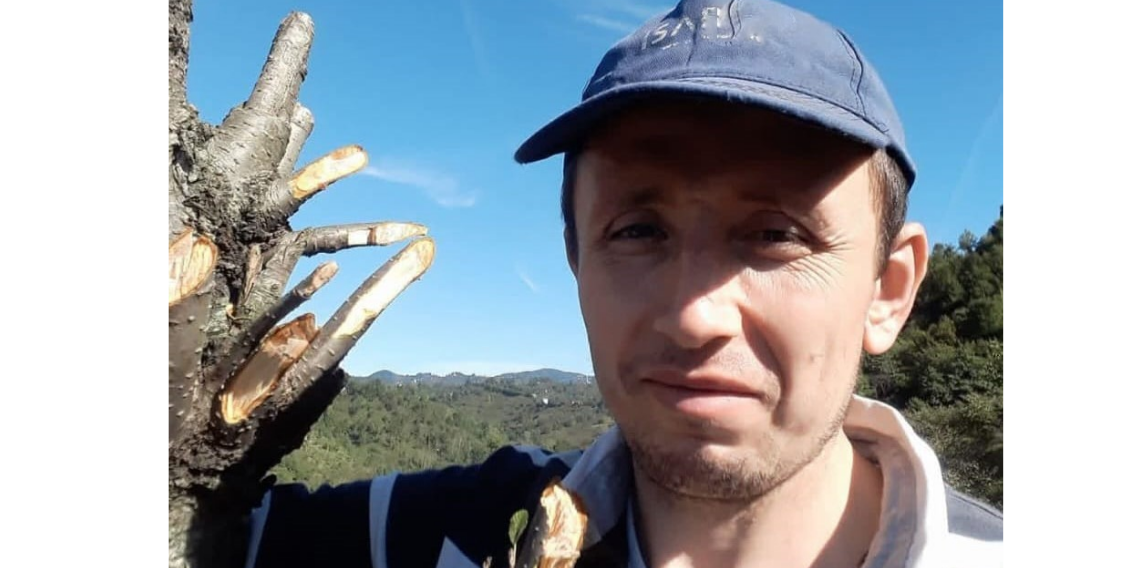 Ordu'da ağaç kesimi faciası: Dengesini kaybeden kişi yaşamını yitirdi