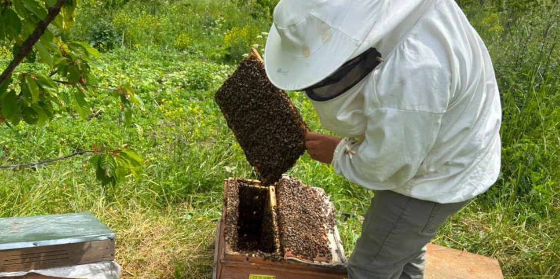 Artvin'de bal hasat sezonu öncesi üreticilerle buluşma