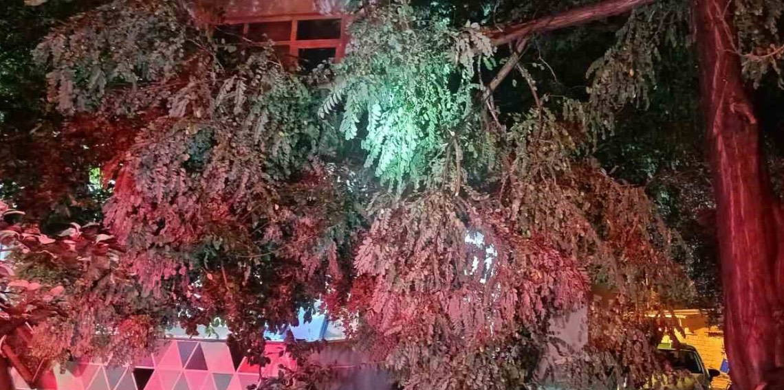 Erdek’te fırtına ve dolu yağışı: Ağaçlar devrildi, çatılar uçtu